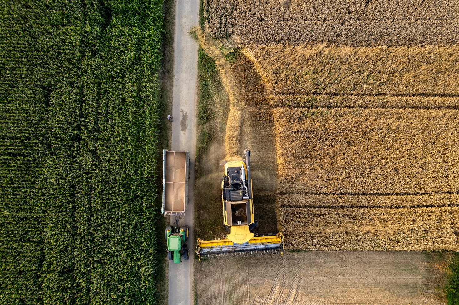 How to Boost Farming Efficiency Sustainably