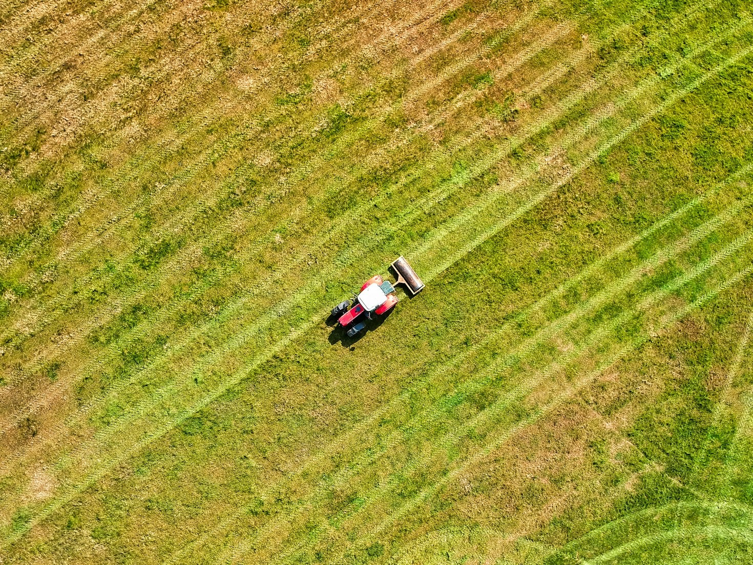 The Future of Agriculture: Eco Green Innovations