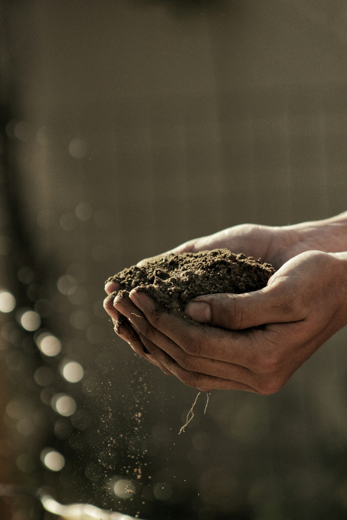 Why Eco-Friendly Machinery is the Future of Farming