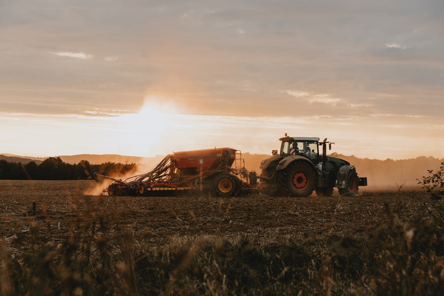 Eco Green F.Z.E: Pioneers of Modern Agriculture